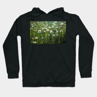 Summer Meadow Hoodie